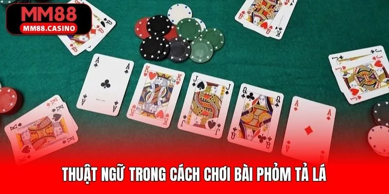 Thuật ngữ thường dùng trong cách chơi bài phỏm tá lả 
